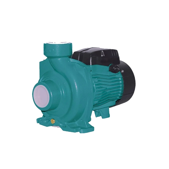 پمپ بشقابي 2 اينچ 2 اسب لئو (ACM150B2)