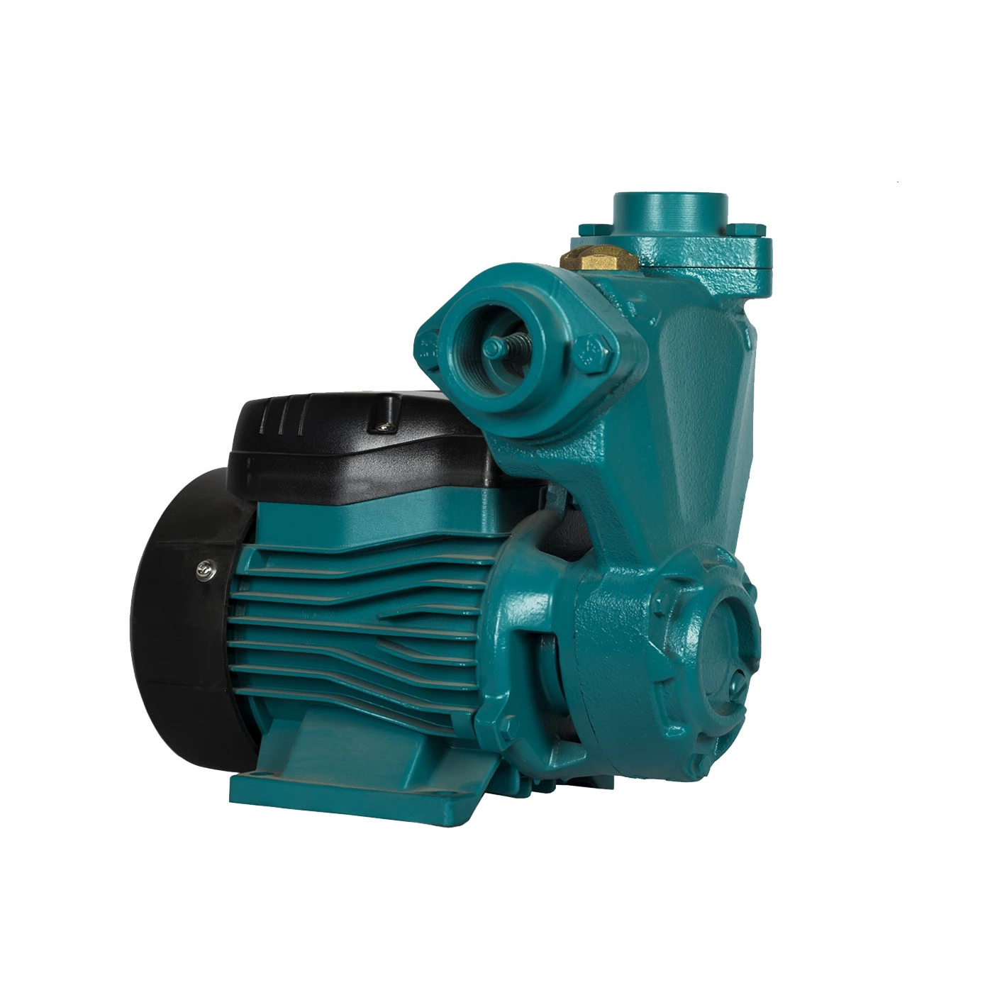 پمپ خودمکش 1 اسب لئو (APSm75)