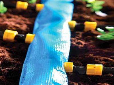 لی فلت ویسپار