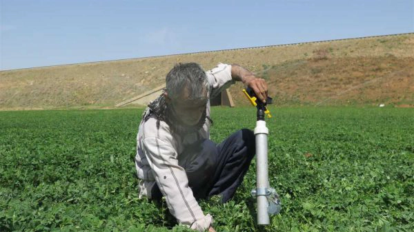 رایزر پلیمری ویسپار 