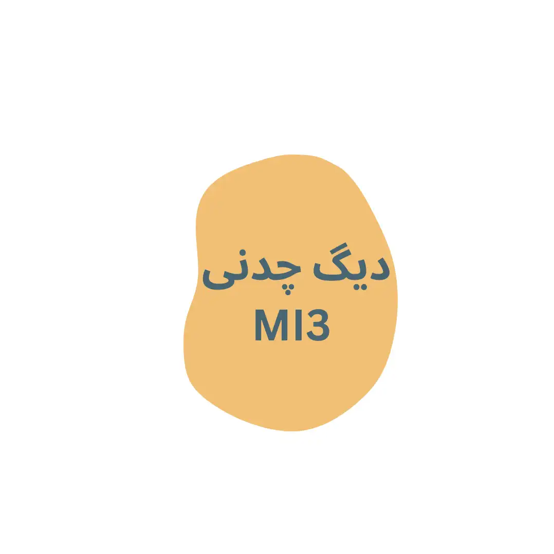 ديگ چدني MI3